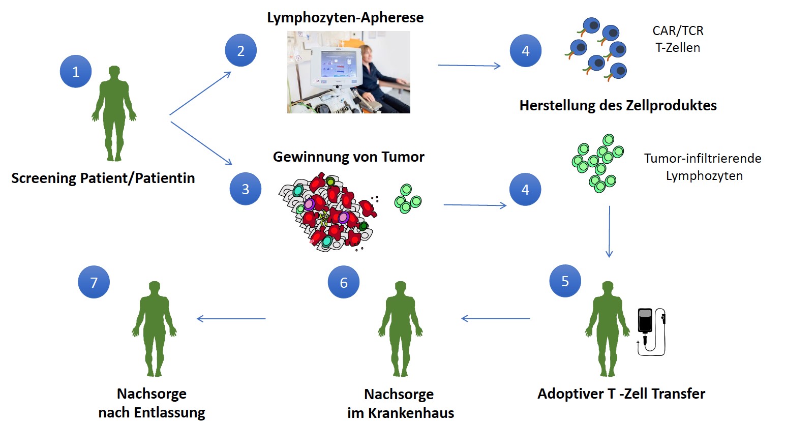 Spezifische Zelltherapien/ CAR-T-Zellen | Klinik Und Poliklinik Für ...